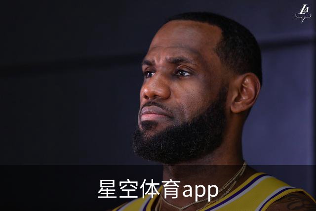 星空体育app公司简介图片